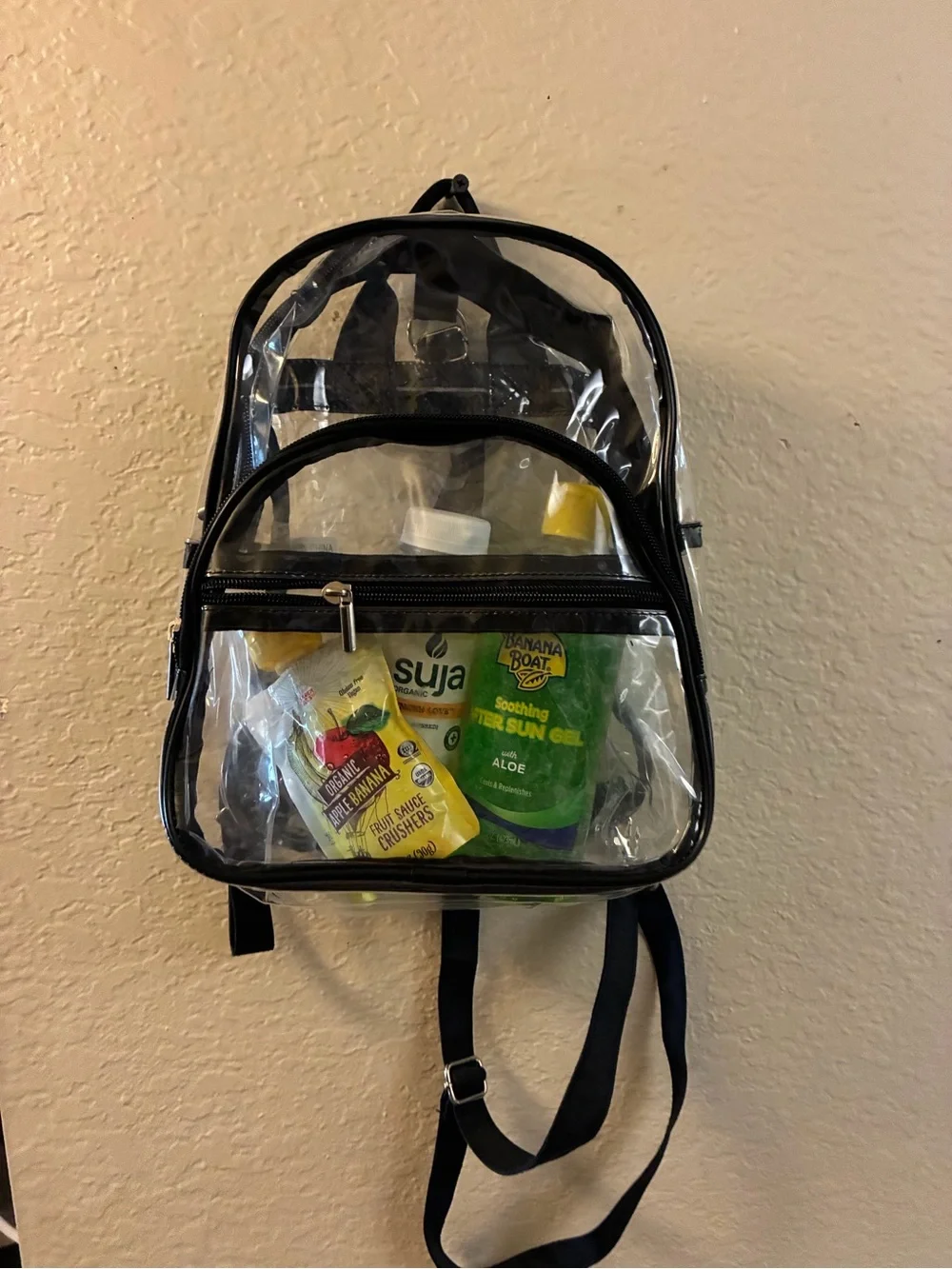 Concert Babe Clear Backpack